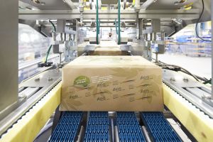 Die KHS Gruppe ergänzt ihr Portfolio um eine weitere umweltschonende Lösung. Mit seinen bewährten Traypackern Innopack Kisters ermöglicht der Systemanbieter nun auch das Einschlagen von Getränke- und Lebensmitteldosen in Papier.